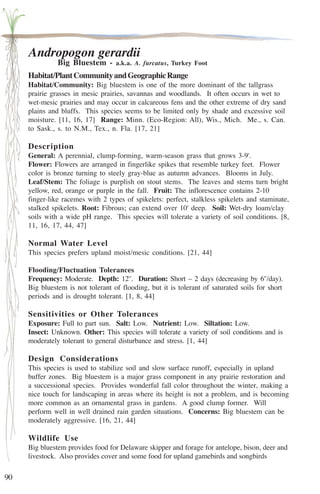 90 
Andropogon gerardii 
Big Bluestem - a.k.a. A. furcatus, Turkey Foot 
Habitat/Plant Community and Geographic Range 
Habitat/Community: Big bluestem is one of the more dominant of the tallgrass 
prairie grasses in mesic prairies, savannas and woodlands. It often occurs in wet to 
wet-mesic prairies and may occur in calcareous fens and the other extreme of dry sand 
plains and bluffs. This species seems to be limited only by shade and excessive soil 
moisture. [11, 16, 17] Range: Minn. (Eco-Region: All), Wis., Mich. Me., s. Can. 
to Sask., s. to N.M., Tex., n. Fla. [17, 21] 
Description 
General: A perennial, clump-forming, warm-season grass that grows 3-9'. 
Flower: Flowers are arranged in fingerlike spikes that resemble turkey feet. Flower 
color is bronze turning to steely gray-blue as autumn advances. Blooms in July. 
Leaf/Stem: The foliage is purplish on stout stems. The leaves and stems turn bright 
yellow, red, orange or purple in the fall. Fruit: The inflorescence contains 2-10 
finger-like racemes with 2 types of spikelets: perfect, stalkless spikelets and staminate, 
stalked spikelets. Root: Fibrous; can extend over 10' deep. Soil: Wet-dry loam/clay 
soils with a wide pH range. This species will tolerate a variety of soil conditions. [8, 
11, 16, 17, 44, 47] 
Normal Water Level 
This species prefers upland moist/mesic conditions. [21, 44] 
Flooding/Fluctuation Tolerances 
Frequency: Moderate. Depth: 12''. Duration: Short – 2 days (decreasing by 6''/day). 
Big bluestem is not tolerant of flooding, but it is tolerant of saturated soils for short 
periods and is drought tolerant. [1, 8, 44] 
Sensitivities or Other Tolerances 
Exposure: Full to part sun. Salt: Low. Nutrient: Low. Siltation: Low. 
Insect: Unknown. Other: This species will tolerate a variety of soil conditions and is 
moderately tolerant to general disturbance and stress. [1, 44] 
Design Considerations 
This species is used to stabilize soil and slow surface runoff, especially in upland 
buffer zones. Big bluestem is a major grass component in any prairie restoration and 
a successional species. Provides wonderful fall color throughout the winter, making a 
nice touch for landscaping in areas where its height is not a problem, and is becoming 
more common as an ornamental grass in gardens. A good clump former. Will 
perform well in well drained rain garden situations. Concerns: Big bluestem can be 
moderately aggressive. [16, 21, 44] 
Wildlife Use 
Big bluestem provides food for Delaware skipper and forage for antelope, bison, deer and 
livestock. Also provides cover and some food for upland gamebirds and songbirds 
 