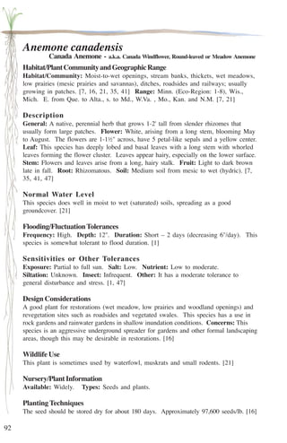 92 
Anemone canadensis 
Canada Anemone - a.k.a. Canada Windflower, Round-leaved or Meadow Anemone 
Habitat/Plant Community and Geographic Range 
Habitat/Community: Moist-to-wet openings, stream banks, thickets, wet meadows, 
low prairies (mesic prairies and savannas), ditches, roadsides and railways; usually 
growing in patches. [7, 16, 21, 35, 41] Range: Minn. (Eco-Region: 1-8), Wis., 
Mich. E. from Que. to Alta., s. to Md., W.Va. , Mo., Kan. and N.M. [7, 21] 
Description 
General: A native, perennial herb that grows 1-2' tall from slender rhizomes that 
usually form large patches. Flower: White, arising from a long stem, blooming May 
to August. The flowers are 1-1½'' across, have 5 petal-like sepals and a yellow center. 
Leaf: This species has deeply lobed and basal leaves with a long stem with whorled 
leaves forming the flower cluster. Leaves appear hairy, especially on the lower surface. 
Stem: Flowers and leaves arise from a long, hairy stalk. Fruit: Light to dark brown 
late in fall. Root: Rhizomatous. Soil: Medium soil from mesic to wet (hydric). [7, 
35, 41, 47] 
Normal Water Level 
This species does well in moist to wet (saturated) soils, spreading as a good 
groundcover. [21] 
Flooding/Fluctuation Tolerances 
Frequency: High. Depth: 12''. Duration: Short – 2 days (decreasing 6''/day). This 
species is somewhat tolerant to flood duration. [1] 
Sensitivities or Other Tolerances 
Exposure: Partial to full sun. Salt: Low. Nutrient: Low to moderate. 
Siltation: Unknown. Insect: Infrequent. Other: It has a moderate tolerance to 
general disturbance and stress. [1, 47] 
Design Considerations 
A good plant for restorations (wet meadow, low prairies and woodland openings) and 
revegetation sites such as roadsides and vegetated swales. This species has a use in 
rock gardens and rainwater gardens in shallow inundation conditions. Concerns: This 
species is an aggressive underground spreader for gardens and other formal landscaping 
areas, though this may be desirable in restorations. [16] 
Wildlife Use 
This plant is sometimes used by waterfowl, muskrats and small rodents. [21] 
Nursery/Plant Information 
Available: Widely. Types: Seeds and plants. 
Planting Techniques 
The seed should be stored dry for about 180 days. Approximately 97,600 seeds/lb. [16] 
 