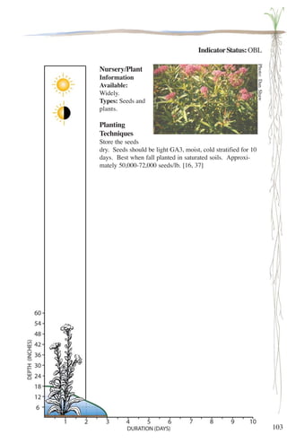 103 
Indicator Status: OBL 
Nursery/Plant 
Information 
Available: 
Widely. 
Types: Seeds and 
plants. 
Planting 
Techniques 
Store the seeds 
dry. Seeds should be light GA3, moist, cold stratified for 10 
days. Best when fall planted in saturated soils. Approxi-mately 
50,000-72,000 seeds/lb. [16, 37] 
Photo: Dan Shaw 
 