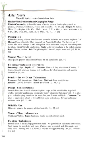 106 
Aster laevis 
Smooth Aster - a.k.a Smooth Blue Aster 
Habitat/Plant Community and Geographic Range 
Habitat/Community: A beautiful aster of mesic open or brushy places such as 
prairies, savannas, woodlands, swales and roadsides. [16, 17, 35] Range: All but ne. 
Minn. (Eco-Region: All), Wis., Mich. Mass., N.Y., s. Ont., s. Man. to Alaska, s. to 
N.D., S.D., Iowa, Mo., Tenn.; n. to Ohio, Pa., R.I. [7, 21] 
Description 
General: A showy, vibrant blue-flowered perennial herb that has a mature height of 2-4'. 
Flower: Color is lavender-blue, blooms from August to October. The flowers are 1'' 
across with 15 to 25 rays. Leaf: Blue-green, thick leaves that clasp the stem throughout 
the plant. Stem: Upright, single stem. Fruit: Light brown achene at the end of autumn. 
Root: Fibrous, shallow. Soil: The pH range is 5.0 to 6.5, dry to mesic soil. [17, 35, 44, 
47] 
Normal Water Level 
This species prefers upland moist/mesic to dry conditions. [21, 44] 
Flooding/Fluctuation Tolerances 
Frequency: High. Depth: 12''. Duration: Short – 1 day (decreases 6'' every 12 
hours). Smooth aster can tolerate wet conditions for short durations and seasonal 
inundation. [1, 44] 
Sensitivities or Other Tolerances: 
Exposure: Full to part sun. Salt: Low. Nutrient: Low to moderate. 
Siltation: Low to moderate. Insect: Infrequent. [1, 44, 47] 
Design Considerations 
Smooth blue aster is well suited for upland slope buffer stabilization, vegetated 
swales, rainwater gardens and stormwater runoff situations that drain well. It is also 
good in landscaping situations for butterflies, cut flowers and birds. Concerns: The 
plant is aggressive, which is favorable for some restorations. Several cultivated 
varieties exist. [16, 35, 44] 
Wildlife Use 
This aster attracts the orange sulphur butterfly. [21, 32, 44] 
Nursery/Plant Information 
Available: Widely. Types: Seeds and plants. Several cultivars exist. 
Planting Techniques 
Smooth aster is easily propagated from seed. No germination treatments are needed. 
Seed should be stored dry and cool. Cuttings can be rooted, and this species self 
sows well. Seeding rate is 0.02-0.125 lb/acre and approximately 768,000 seeds/lb. 
[16, 44] 
 