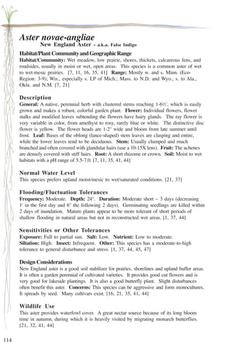 114 
Aster novae-angliae 
New England Aster - a.k.a. False Indigo 
Habitat/Plant Community and Geographic Range 
Habitat/Community: Wet meadow, low prairie, shores, thickets, calcareous fens, and 
roadsides, usually in moist or wet, open areas. This species is a common aster of wet 
to wet-mesic prairies. [7, 11, 16, 35, 41] Range: Mostly w. and s. Minn. (Eco- 
Region: 3-9); Wis., especially s. LP of Mich.; Mass. to N.D. and Wyo., s. to Ala., 
Okla. and N.M. [7, 21] 
Description 
General: A native, perennial herb with clustered stems reaching 1-6½', which is easily 
grown and makes a robust, colorful garden plant. Flower: Individual flowers, flower 
stalks and modified leaves subtending the flowers have hairy glands. The ray flower is 
very variable in color, from amethyst to rosy, rarely blue or white. The distinctive disc 
flower is yellow. The flower heads are 1-2'' wide and bloom from late summer until 
frost. Leaf: Bases of the oblong (lance-shaped) stem leaves are clasping and entire, 
while the lower leaves tend to be deciduous. Stem: Usually clumped and much 
branched and often covered with glandular hairs (use a 10-15X lens). Fruit: The achenes 
are densely covered with stiff hairs. Root: A short rhizome or crown. Soil: Moist to wet 
habitats with a pH range of 5.5-7.0. [7, 11, 35, 41, 44] 
Normal Water Level 
This species prefers upland moist/mesic to wet/saturated conditions. [21, 37] 
Flooding/Fluctuation Tolerances 
Frequency: Moderate. Depth: 24''. Duration: Moderate short – 3 days (decreasing 
1' in the first day and 6'' the following 2 days). Germinating seedlings are killed within 
2 days of inundation. Mature plants appear to be more tolerant of short periods of 
shallow flooding in natural areas but not in reconstructed wet areas. [1, 37, 44] 
Sensitivities or Other Tolerances 
Exposure: Full to partial sun. Salt: Low. Nutrient: Low to moderate. 
Siltation: High. Insect: Infrequent. Other: This species has a moderate-to-high 
tolerance to general disturbance and stress. [1, 37, 44, 45, 47] 
Design Considerations 
New England aster is a good soil stabilizer for prairies, shorelines and upland buffer areas. 
It is often a garden perennial of cultivated varieties. It provides good cut flowers and is 
very good for lakeside plantings. It is also a good butterfly plant. Slight disturbances 
often benefit this aster. Concerns: This species can be aggressive and form monocultures. 
It spreads by seed. Many cultivars exist. [16, 21, 35, 41, 44] 
Wildlife Use 
This aster provides waterfowl cover. A great nectar source because of its long bloom 
time in autumn, during which it is heavily visited by migrating monarch butterflies. 
[21, 32, 41, 44] 
 