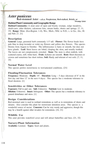 118 
Aster puniceus 
Red-stemmed Aster - a.k.a. Purplestem, Red-stalked, Bristly or 
Swamp Aster 
Habitat/Plant Community and Geographic Range 
Habitat/Community: A stout aster of open and brushy swamps, sedge meadows, 
shrub-carrs, alder thickets, calcareous fens, stream banks, shores and springs. [7, 11, 
35] Range: Minn. (Eco-Region: 1–8), Wis., Mich.; Nfld. to N.D., s. to Ga., Ala., Ill. 
and Neb. [7, 21] 
Description 
General: Large, perennial herb commonly 1-5' tall. Flower: The flower heads have 
pale blue to deep lavender or violet ray flowers and yellow disc flowers. This species 
blooms from August to October. The inflorescence is hairy or smooth, but does not 
have glands. Leaf: Stem leaves are lobed, clasping the stem, and usually toothed. 
The leaves are not conspicuously crowded. Stem: The stem is often reddish, with 
scattered coarse, stiff, white hairs. Fruit: Achenes are smooth. Root: Short rhizomes or 
crowns and sometimes has short stolons. Soil: Hardy and tolerant of wet soils. [7, 11, 
35] 
Normal Water Level 
This species prefers moist/mesic to wet/saturated conditions. [21] 
Flooding/Fluctuation Tolerances 
Frequency: Moderate. Depth: 18''. Duration: Long – 5 days (decrease of 6'' in the 
first day and then 12'' in the next 4 days). This species has a moderate tolerance to 
flood duration. [1] 
Sensitivities or Other Tolerances 
Exposure: Full to part sun. Salt: Unknown. Nutrient: Low to moderate. 
Siltation: Unknown. Insect: Infrequent. Other: This species has a moderate tolerance to 
general disturbance and stress. [1] 
Design Considerations 
Red-stemmed aster is used in wetland restorations as well as in restorations of shores and 
streams. Also consider this plant for stormwater detention areas. This species is a 
wonderful source of nectar. Concerns: Can be very weedy and aggressive, though this 
may be a benefit against other invaders for restorations. [16, 21] 
Wildlife Use 
This aster provides waterfowl cover and will attract butterflies and bees. [21, 32] 
Nursery/Plant Information 
Available: Limited. Types: Seed and plants. 
 