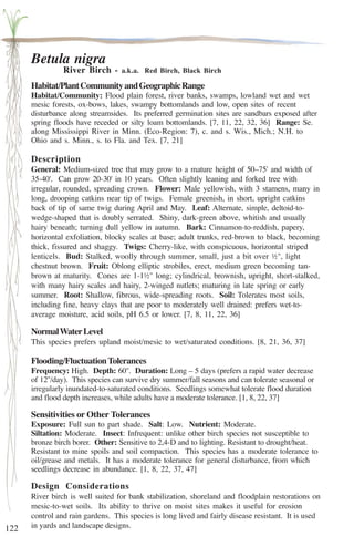122 
Betula nigra 
River Birch - a.k.a. Red Birch, Black Birch 
Habitat/Plant Community and Geographic Range 
Habitat/Community: Flood plain forest, river banks, swamps, lowland wet and wet 
mesic forests, ox-bows, lakes, swampy bottomlands and low, open sites of recent 
disturbance along streamsides. Its preferred germination sites are sandbars exposed after 
spring floods have receded or silty loam bottomlands. [7, 11, 22, 32, 36] Range: Se. 
along Mississippi River in Minn. (Eco-Region: 7), c. and s. Wis., Mich.; N.H. to 
Ohio and s. Minn., s. to Fla. and Tex. [7, 21] 
Description 
General: Medium-sized tree that may grow to a mature height of 50–75' and width of 
35-40'. Can grow 20-30' in 10 years. Often slightly leaning and forked tree with 
irregular, rounded, spreading crown. Flower: Male yellowish, with 3 stamens, many in 
long, drooping catkins near tip of twigs. Female greenish, in short, upright catkins 
back of tip of same twig during April and May. Leaf: Alternate, simple, deltoid-to-wedge- 
shaped that is doubly serrated. Shiny, dark-green above, whitish and usually 
hairy beneath; turning dull yellow in autumn. Bark: Cinnamon-to-reddish, papery, 
horizontal exfoliation, blocky scales at base; adult trunks, red-brown to black, becoming 
thick, fissured and shaggy. Twigs: Cherry-like, with conspicuous, horizontal striped 
lenticels. Bud: Stalked, woolly through summer, small, just a bit over ½'', light 
chestnut brown. Fruit: Oblong elliptic strobiles, erect, medium green becoming tan-brown 
at maturity. Cones are 1-1½'' long; cylindrical, brownish, upright, short-stalked, 
with many hairy scales and hairy, 2-winged nutlets; maturing in late spring or early 
summer. Root: Shallow, fibrous, wide-spreading roots. Soil: Tolerates most soils, 
including fine, heavy clays that are poor to moderately well drained: prefers wet-to-average 
moisture, acid soils, pH 6.5 or lower. [7, 8, 11, 22, 36] 
Normal Water Level 
This species prefers upland moist/mesic to wet/saturated conditions. [8, 21, 36, 37] 
Flooding/Fluctuation Tolerances 
Frequency: High. Depth: 60''. Duration: Long – 5 days (prefers a rapid water decrease 
of 12''/day). This species can survive dry summer/fall seasons and can tolerate seasonal or 
irregularly inundated-to-saturated conditions. Seedlings somewhat tolerate flood duration 
and flood depth increases, while adults have a moderate tolerance. [1, 8, 22, 37] 
Sensitivities or Other Tolerances 
Exposure: Full sun to part shade. Salt: Low. Nutrient: Moderate. 
Siltation: Moderate. Insect: Infrequent: unlike other birch species not susceptible to 
bronze birch borer. Other: Sensitive to 2,4-D and to lighting. Resistant to drought/heat. 
Resistant to mine spoils and soil compaction. This species has a moderate tolerance to 
oil/grease and metals. It has a moderate tolerance for general disturbance, from which 
seedlings decrease in abundance. [1, 8, 22, 37, 47] 
Design Considerations 
River birch is well suited for bank stabilization, shoreland and floodplain restorations on 
mesic-to-wet soils. Its ability to thrive on moist sites makes it useful for erosion 
control and rain gardens. This species is long lived and fairly disease resistant. It is used 
in yards and landscape designs. 
 