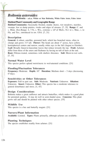 126 
Boltonia asteroides 
Boltonia - a.k.a. White or Star Boltonia, White False Aster, False Aster 
Habitat/Plant Community and Geographic Range 
Habitat/Community: Seasonally flooded, muddy shores, wet meadows, marshes, 
swamps, low or damp prairies, swales and edges of streams. [7, 35] Range: C. and 
s. Minn. (Eco-Range: 4, 7-9), s. Wis., extreme s. LP of Mich.; N.J. to s. Man., s. to 
Fla. and Tex.; introduced in nw. USA. [7, 21] 
Description 
General: A robust, asterlike, perennial herb, which has branched stems, often in 
clumps and grows 3-5' tall. Flower: The heads are about 1'' across, have yellow, 
hemispherical centers and narrow, usually white rays in the fall (August to October). 
Leaf: Broadly linear-to-lanceolate leaves that reduce towards the top. Fruit: Achenes 
differ from those of the asters and fleabanes by having no tuft of hairs at the end. 
Root: Fibrous-rooted, sometimes with shallow rhizomes. Soil: Moist-to-wet soils. 
[7, 35] 
Normal Water Level 
This species prefers upland moist/mesic to wet/saturated conditions. [21] 
Flooding/Fluctuation Tolerances 
Frequency: Moderate. Depth: 18''. Duration: Medium short – 3 days (decreasing 
6''/day). 
Sensitivities or Other Tolerances 
Exposure: Full to part sun. Salt: Moderate. Nutrient: Unknown. Siltation: 
Unknown. Insect: Unknown. Other: This species has a moderate tolerance to 
general disturbance and stress. [1, 47] 
Design Considerations 
Boltonia makes a great cutflower and attracts butterflies, which makes it a good plant 
for perennial gardens. It may do well in semi-shaded areas. Concerns: This plant 
grows tall and should be planted with other robust species. [35] 
Wildlife Use 
This species is a bee and butterfly magnet. [21] 
Nursery/Plant Information 
Available: Limited. Types: Plants primarily, although achenes are available. 
Planting Techniques 
The species establishes readily from achenes. [21] 
 