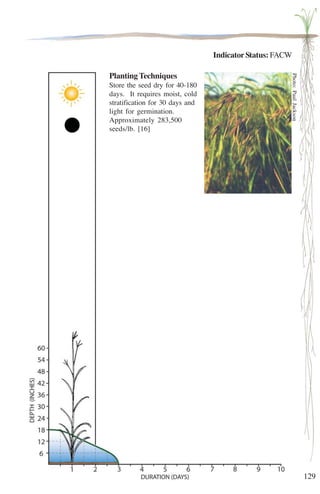 129 
Indicator Status: FACW 
Photo: Paul Jackson 
Planting Techniques 
Store the seed dry for 40-180 
days. It requires moist, cold 
stratification for 30 days and 
light for germination. 
Approximately 283,500 
seeds/lb. [16] 
 