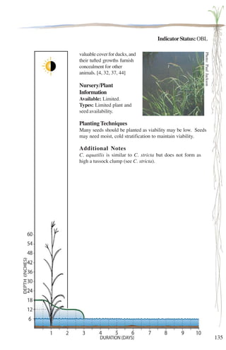 135 
Indicator Status: OBL 
valuable cover for ducks, and 
their tufted growths furnish 
concealment for other 
animals. [4, 32, 37, 44] 
Nursery/Plant 
Information 
Available: Limited. 
Types: Limited plant and 
seed availability. 
Planting Techniques 
Many seeds should be planted as viability may be low. Seeds 
may need moist, cold stratification to maintain viability. 
Additional Notes 
C. aquatilis is similar to C. stricta but does not form as 
high a tussock clump (see C. stricta). 
Photo: Paul Jackson 
 
