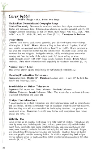 136 
Carex bebbii 
Bebb’s Sedge - a.k.a. Bebb’s Oval Sedge 
Habitat/Plant Community and Geographic Range 
Habitat/Community: Wet-to-moist meadows, marshes, lake edges, stream banks, 
ditches and calcareous fens. It forms dense clumps on moist-to-saturated soil. [7, 16] 
Range: Common northward; all but s.w. Minn. (Eco-Range: All), Wis., Mich. Nfld. 
to B.C., s. to N.J., Ohio, Ill., Neb. and Colo. [7, 21] Threatened in Indiana. 
Description 
General: This native, cool-season, perennial, grass-like herb forms dense clumps 
with heights of 24-36''. Flower: Green in May to June with 4-12 spikes, 3/16-3/8'' 
long, sessile in a compact, crowded spike or head ½ to 1-3/16''. Bracts inconspicu-ous, 
even the lowest one shorter than the inflorescence. Pistillate scales shorter and 
narrower than the perigynia. Perigynia crowded, stiffly ascending (the beaks often 
standing out from the body of the spike), ovate, 2-3 times as long as wide. 
Leaf: Elongate, mostly 1/16-3/16'' wide; sheaths ventrally hyaline. Fruit: Achene 
lenticular. Soil: Moist-to-saturated soil, especially in calcareous situations. [7, 17] 
Normal Water Level 
This species prefers upland moist/mesic to wet/saturated conditions. [21] 
Flooding/Fluctuation Tolerances 
Frequency: High. Depth: 12''. Duration: Medium short – 3 days (6'' the first day 
then 6'' the following 2 days). 
Sensitivities or Other Tolerances 
Exposure: Full to part sun. Salt: Unknown. Nutrient: Unknown. 
Siltation: Unknown. Insect: Unknown. Other: This species has a moderate tolerance 
to general disturbance and stress. [1] 
Design Considerations 
A good species for wetland restorations and other saturated areas, such as stream banks 
and lake shores. It does exceptionally well in calcareous situations and wet meadows. 
This bunching herb will stay controlled for landscaping situations, rain gardens and 
moist pond areas. Concerns: C. bebbii may decline with competition from robust 
grasses and forbs. [16] 
Wildlife Use 
Carex species are an essential food source for a wide variety of wildlife. The achenes are 
eaten by many birds, including rails (sora, yellow), grouse (especially ruffed chicks), 
marsh birds, shorebirds, seed-eating songbirds (swamp, tree, song and Lincoln spar-rows; 
snow buntings; cardinals; larkspurs and redpolls) and most waterfowl. Sedges 
also provide food for moose, beavers, deer and muskrats. Stands of Carex in shallow 
water can provide valuable spawning habitat. In addition to providing food, sedges 
provide valuable cover for ducks, and their tufted growths furnish concealment for other 
animals. [4, 32, 37, 44] 
 