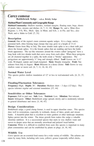 138 
Carex comosa 
Bottlebrush Sedge - a.k.a. Bristly Sedge 
Habitat/Plant Community and Geographic Range 
Habitat/Community: Shallow marshes, wetland margins, floating mats, bogs, shores 
of ponds, lakes, streams and ditches. [4, 7, 11, 16] Range: Nc. and e. Minn (Eco- 
Regions: 1, 5-9), Wis., Mich. Que. to Minn. and S.D., s. to Fla. and Tex.; also 
Wash. and n. Idaho to Calif. [7, 21] 
Description 
General: One of the region’s more common aquatic sedges. It is a large, native, 
perennial herb, often forming large clumps that may grow to a height of 1½-4'. 
Flower: Green from May to July. The more slender male spike is on a short stalk just 
above the female spikes. It is the female spikes that are nodding and have the bottle 
brush appearance. The sac-like structures around the ovaries called “perigynia” have a 
long beak with two slender teeth that curve away from each other. When these perigynia 
are all clustered together in a spike, the teeth create a “bristly” appearance. The 
perigynium are approximately ¼'' long and strongly ribbed. Leaf: Leaves are ¼-½'' 
wide, M-shaped, septate and rough-margined. Stem: Sharply triangular. Fruit: Tan 
achenes from July to August. Root: Rhizome in a dense cluster. Soil: Grows in very 
shallow water or moist soil. [4, 7, 11, 16, 44, 47] 
Normal Water Level 
This species prefers shallow inundation of 12'' or less to wet/saturated soils. [4, 21, 37, 
44] 
Flooding/Fluctuation Tolerances 
Frequency: High. Depth: 36''. Duration: Medium short – 3 days (12''/day). This 
species tolerates regular and seasonal inundation. [37, 44] 
Sensitivities or Other Tolerances 
Exposure: Full to part sun. Salt: Low. Nutrient: Low. Siltation: Not tolerant. 
Insect: Infrequent. Other: Bottlebrush sedge spreads slowly and is moderately tolerant 
to general disturbance and stress. [1, 44, 47] 
Design Considerations 
Bottlebrush sedge, a good clump former, is used in upper shoreline zones. This species 
does well in restorations, especially in wetlands, shores of lakes, ponds and stream 
banks. A beautiful plant that is excellent in water gardens or other landscape situations. 
Spikes persist into the winter. The dense growth form makes this sedge a valuable 
shoreline stabilizer. It is a successional species that starts in very shallow water and 
moves to deeper areas that are normally arrowhead and pickerel weed habitat. 
Concerns: While it is difficult to establish from seed, this species is important in many 
plant communities and can be established by plants or plugs. [4, 16, 44] 
Wildlife Use 
Carex species are an essential food source for a wide variety of wildlife. The achenes are 
eaten by many birds, including rails (sora, yellow), grouse (especially ruffed chicks, 
 