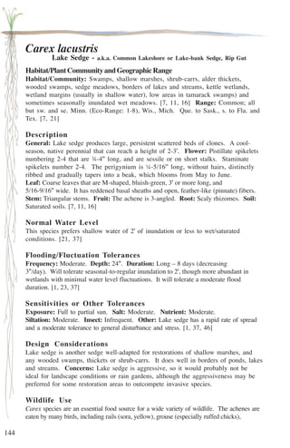 144 
Carex lacustris 
Lake Sedge - a.k.a. Common Lakeshore or Lake-bank Sedge, Rip Gut 
Habitat/Plant Community and Geographic Range 
Habitat/Community: Swamps, shallow marshes, shrub-carrs, alder thickets, 
wooded swamps, sedge meadows, borders of lakes and streams, kettle wetlands, 
wetland margins (usually in shallow water), low areas in tamarack swamps) and 
sometimes seasonally inundated wet meadows. [7, 11, 16] Range: Common; all 
but sw. and se. Minn. (Eco-Range: 1-8), Wis., Mich. Que. to Sask., s. to Fla. and 
Tex. [7, 21] 
Description 
General: Lake sedge produces large, persistent scattered beds of clones. A cool-season, 
native perennial that can reach a height of 2-3'. Flower: Pistillate spikelets 
numbering 2-4 that are ¾-4'' long, and are sessile or on short stalks. Staminate 
spikelets number 2-4. The perigynium is ¼-5/16'' long, without hairs, distinctly 
ribbed and gradually tapers into a beak, which blooms from May to June. 
Leaf: Coarse leaves that are M-shaped, bluish-green, 3' or more long, and 
5/16-9/16'' wide. It has reddened basal sheaths and open, feather-like (pinnate) fibers. 
Stem: Triangular stems. Fruit: The achene is 3-angled. Root: Scaly rhizomes. Soil: 
Saturated soils. [7, 11, 16] 
Normal Water Level 
This species prefers shallow water of 2' of inundation or less to wet/saturated 
conditions. [21, 37] 
Flooding/Fluctuation Tolerances 
Frequency: Moderate. Depth: 24''. Duration: Long – 8 days (decreasing 
3''/day). Will tolerate seasonal-to-regular inundation to 2', though more abundant in 
wetlands with minimal water level fluctuations. It will tolerate a moderate flood 
duration. [1, 23, 37] 
Sensitivities or Other Tolerances 
Exposure: Full to partial sun. Salt: Moderate. Nutrient: Moderate. 
Siltation: Moderate. Insect: Infrequent. Other: Lake sedge has a rapid rate of spread 
and a moderate tolerance to general disturbance and stress. [1, 37, 46] 
Design Considerations 
Lake sedge is another sedge well-adapted for restorations of shallow marshes, and 
any wooded swamps, thickets or shrub-carrs. It does well in borders of ponds, lakes 
and streams. Concerns: Lake sedge is aggressive, so it would probably not be 
ideal for landscape conditions or rain gardens, although the aggressiveness may be 
preferred for some restoration areas to outcompete invasive species. 
Wildlife Use 
Carex species are an essential food source for a wide variety of wildlife. The achenes are 
eaten by many birds, including rails (sora, yellow), grouse (especially ruffed chicks), 
 