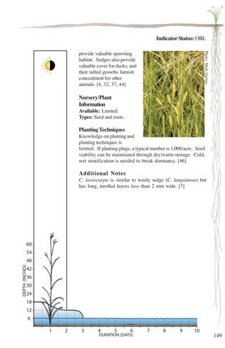 149 
Indicator Status: OBL 
provide valuable spawning 
habitat. Sedges also provide 
valuable cover for ducks, and 
their tufted growths furnish 
concealment for other 
animals. [4, 32, 37, 44] 
Photo: Mark Gernes 
Nursery/Plant 
Information 
Available: Limited. 
Types: Seed and roots. 
Planting Techniques 
Knowledge on planting and 
planting techniques is 
limited. If planting plugs, a typical number is 1,000/acre. Seed 
viability can be maintained through dry/warm storage. Cold, 
wet stratification is needed to break dormancy. [46] 
Additional Notes 
C. lasiocarpa is similar to wooly sedge (C. languinosa) but 
has long, inrolled leaves less than 2 mm wide. [7] 
 