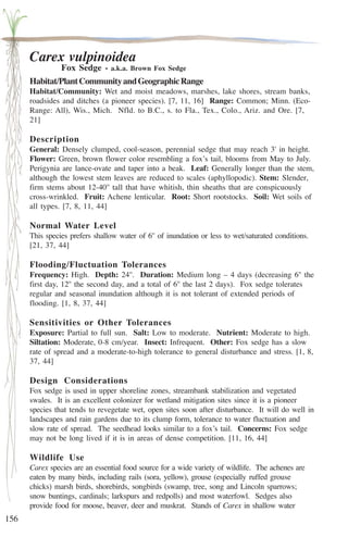 156 
Carex vulpinoidea 
Fox Sedge - a.k.a. Brown Fox Sedge 
Habitat/Plant Community and Geographic Range 
Habitat/Community: Wet and moist meadows, marshes, lake shores, stream banks, 
roadsides and ditches (a pioneer species). [7, 11, 16] Range: Common; Minn. (Eco- 
Range: All), Wis., Mich. Nfld. to B.C., s. to Fla., Tex., Colo., Ariz. and Ore. [7, 
21] 
Description 
General: Densely clumped, cool-season, perennial sedge that may reach 3' in height. 
Flower: Green, brown flower color resembling a fox’s tail, blooms from May to July. 
Perigynia are lance-ovate and taper into a beak. Leaf: Generally longer than the stem, 
although the lowest stem leaves are reduced to scales (aphyllopodic). Stem: Slender, 
firm stems about 12-40'' tall that have whitish, thin sheaths that are conspicuously 
cross-wrinkled. Fruit: Achene lenticular. Root: Short rootstocks. Soil: Wet soils of 
all types. [7, 8, 11, 44] 
Normal Water Level 
This species prefers shallow water of 6'' of inundation or less to wet/saturated conditions. 
[21, 37, 44] 
Flooding/Fluctuation Tolerances 
Frequency: High. Depth: 24''. Duration: Medium long – 4 days (decreasing 6'' the 
first day, 12'' the second day, and a total of 6'' the last 2 days). Fox sedge tolerates 
regular and seasonal inundation although it is not tolerant of extended periods of 
flooding. [1, 8, 37, 44] 
Sensitivities or Other Tolerances 
Exposure: Partial to full sun. Salt: Low to moderate. Nutrient: Moderate to high. 
Siltation: Moderate, 0-8 cm/year. Insect: Infrequent. Other: Fox sedge has a slow 
rate of spread and a moderate-to-high tolerance to general disturbance and stress. [1, 8, 
37, 44] 
Design Considerations 
Fox sedge is used in upper shoreline zones, streambank stabilization and vegetated 
swales. It is an excellent colonizer for wetland mitigation sites since it is a pioneer 
species that tends to revegetate wet, open sites soon after disturbance. It will do well in 
landscapes and rain gardens due to its clump form, tolerance to water fluctuation and 
slow rate of spread. The seedhead looks similar to a fox’s tail. Concerns: Fox sedge 
may not be long lived if it is in areas of dense competition. [11, 16, 44] 
Wildlife Use 
Carex species are an essential food source for a wide variety of wildlife. The achenes are 
eaten by many birds, including rails (sora, yellow), grouse (especially ruffed grouse 
chicks) marsh birds, shorebirds, songbirds (swamp, tree, song and Lincoln sparrows; 
snow buntings, cardinals; larkspurs and redpolls) and most waterfowl. Sedges also 
provide food for moose, beaver, deer and muskrat. Stands of Carex in shallow water 
 