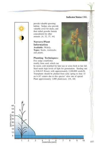 157 
Indicator Status: OBL 
provide valuable spawning 
habitat. Sedges also provide 
valuable cover for ducks, and 
their tufted growths furnish 
concealment for other 
animals. [4, 32, 37, 44] 
Nursery/Plant 
Information 
Available: Widely. 
Types: Seeds, rootstocks 
and plants. 
Planting Techniques: 
Fox sedge establishes 
readily from seed, which can 
be moist, cold stratified for later use or sown fresh in late fall. 
Seed needs high levels of light for germination. Seeding rate 
is 0.06-0.5 lb/acre with approximately 2,268,000 seeds/lb. 
Transplants should be planted from early spring to June 15 
on 6-18'' centers due to this species’ slow rate of spread. 
Plant approximately 1,000 plants/acre. [16, 44] 
Photo: Paul Jackson 
 
