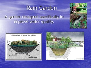 Rain Garden 
A garden designed specifically to 
improve water quality. 
 