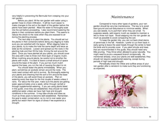 very helpful in preventing the Bermuda from creeping into your 
rain garden. 
29 
Before you plant, fill the rain garden with water using a 
garden hose to check infiltration. It will be much easier to 
make changes to the soil or the depth of the garden before the 
plants have been planted. Allow the water to thoroughly soak 
into the soil before proceeding. I also recommend watering the 
plants in their containers before you plant them. This seems to 
reduce the shock to the roots when they are exposed to air 
during the planting process. 
The next step is to plant the plants. You should set out 
the plants in their containers before doing any digging to make 
sure you are satisfied with the layout. When digging holes for 
your plants, try to make the hole the same depth and twice as 
wide as the container. Loosen and spread out the roots in the 
planting hole and then fill the hole, firming the soil around the 
plant. Once you have planted all your plants, you should cover 
the area with a two to three inch thick layer of organic mulch. 
When mulching around plants, be careful not to smother the 
plants with mulch. It is best to leave a small amount of space 
around the base of the plant. If you put too much mulch 
against the base, you run the risk of causing the plant to rot. 
You should water the plants immediately. When you 
plant, sometimes air pockets remain around the roots. The 
roots need contact with soil to survive. By thoroughly watering 
your plants and checking that the soil is firm around the base 
of the plants, you will avoid those air pockets. Plan on 
watering every few days for the first couple of weeks unless it 
rains. For about the first year, make sure the plants are getting 
water approximately once a week, either through rainfall or 
through supplemental watering. If you are using plants listed 
in this guide, once they are established, they should not need 
additional water unless we have high heat and drought 
conditions in the summer. It may take shrubs and trees as 
much as three years to become well established. Remember, 
the goal is water conservation, so try not to over water your 
plants but watch them for signs of stress if we experience a 
drought. 
30 
Maintenance 
Compared to many other types of gardens, your rain 
garden should be very low maintenance. The key is to avoid 
bare ground and soil disturbance to minimize weeds. When 
you see weeds, try to pull them when they are small. To 
suppress weeds, add organic mulch as needed to maintain a 
two to three inch layer. Avoid stepping into the rain garden as 
much as possible to avoid compacting the soil. 
To keep the garden tidy, you can cut back dried stems 
of perennials in the fall. However, I prefer to cut them back in 
early spring to leave the seed heads through the winter to feed 
the birds and to provide cover. If you plant shrubs and trees 
that are recommended in this guide, they should need very 
little pruning. They thrive when allowed to grow naturally. You 
might need to prune a wayward branch occasionally. As 
mentioned already, once your plants are well established, they 
should not require supplemental watering, except during 
periods of high heat and drought. 
Periodically check the inflow and outflow areas of your 
rain garden after a rainstorm to make sure they are functioning 
as expected. 
Bee collecting nectar from Redbud tree Photo by Stefan Siems 
 