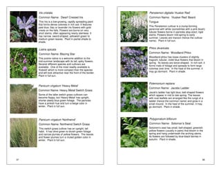 37 
Iris cristata 
Common Name: Dwarf Crested Iris 
This Iris is a low-growing, rapidly spreading plant 
that forms dense colonies in rich soil. It features 
pale blue, lilac or lavender iris flowers with gold 
crests on the falls. Flowers are borne on very 
short stems, often appearing nearly stemless. It 
has narrow, sword-shaped, yellowish-green to 
medium green leaves. Plant in partial shade to 
shade. 
Liatris spicata 
Common Name: Blazing Star 
This prairie native is a welcome addition to the 
mid-summer landscape with its tall, spiky flowers. 
Several different species and cultivars are 
available. One of the most readily available is 
'Kobold' which is more compact than the species 
and will look attractive near the front of the border. 
Plant in full sun. 
Panicum virgatum ‘Heavy Metal’ 
Common Name: Heavy Metal Switch Grass 
Some of the taller switch grass cultivars can 
become floppy, but 'Heavy Metal' has upright, 
shorter steely blue-green foliage. The panicles 
have a pinkish hue and turn a beige color in 
winter. Plant in full sun. 
Panicum virgatum ‘Northwind’ 
Common Name: Northwind Switch Grass 
This switch grass cultivar has an upright, tall 
habit. It has olive-green to bluish-green foliage 
and narrow plumes of yellow flowers. The leaves 
and flower plumes turn a muted golden color in 
winter. Plant in full sun. 
Penstemon digitalis ‘Husker Red’ 
Common Name: ‘Husker Red’ Beard 
Tongue 
This Penstemon cultivar is a clump-forming 
perennial with white (sometimes with a pink blush) 
tubular flowers borne in panicles atop erect, rigid 
stems. Flowers bloom mid-spring to early 
summer. Leaves are maroon (hence the cultivar 
name). Plant in full sun. 
Phlox divaricata 
Common Name: Woodland Phlox 
Woodland phlox has loose clusters of slightly 
fragrant, tubular, violet blue flowers that bloom in 
spring. Its leaves are lance-shaped. In rich soil, it 
forms mats of foliage and spreads to form large 
colonies over time. In the heat of the summer, it 
may go dormant. Plant in shade. 
Polemonium reptans 
Common Name: Jacobs Ladder 
Jacob's ladder has light blue, bell-shaped flowers 
which appear in mid to late spring. The leaves 
with oval leaflets are arranged like the rungs of a 
ladder (hence the common name) and grow in a 
small mound. In the heat of the summer, it may 
go dormant. Plant in shade. 
Polygonatum biflorum 
Common Name: Soloman’s Seal 
Solomon's seal has small, bell-shaped, greenish 
yellow flowers (usually in pairs) that bloom in the 
spring and hang underneath the arching stems. 
Its flowers are followed by blue-black berries in 
autumn. Plant in shade. 
38 
 