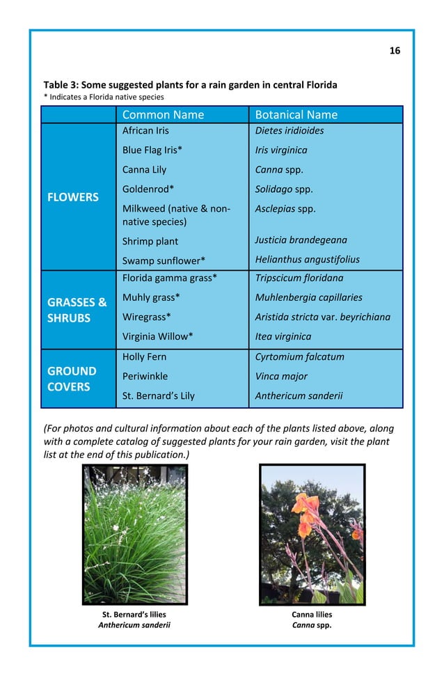 Central Florida Rain Garden Manual University of Florida PDF