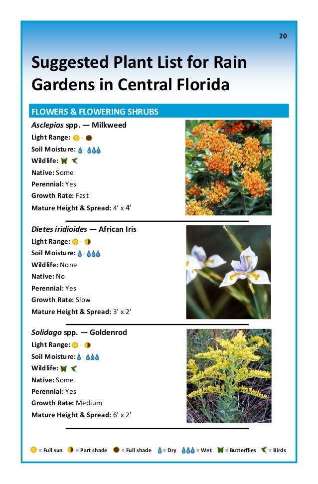 Central Florida Rain Garden Manual University of Florida