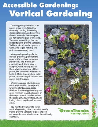 Accessible Gardening: 
Vertical Gardening 
Growing your garden ‘up’ puts 
plants at eye-level. Weeding, 
watering, pruning, harvesting, 
checking for pests, and enjoying 
flowers are easier because you 
are not bending over or kneeling. 
There are many things that can 
support plants growing vertically. 
Trellises, tripods, arches, gazebos, 
walls, wire cages, netting, and 
poles are commonly used. 
Vining and sprawling plants 
do well growing up and off the 
ground. Cucumbers, tomatoes, 
pole beans, and melons do 
especially well. Some plants, 
like peas, will naturally attach 
themselves to structures. Other 
plants, like tomatoes, will need to 
be tied. Cloth strips are best to tie 
plants because they do not cut into 
plants like string can. 
Where you place plants to grow 
vertically can affect other plants. 
Growing plants up can cast a 
shadow. Sun-loving plants may not 
grow well next to vertical plants or 
their support structure because of 
the casting shadow. Instead, shade-loving 
plants may do well in these 
areas. 
You may find you have to water 
vertically growing plants more frequently. 
Plants growing vertically expose the soil 
underneath them, which causes the soil to dry 
out faster. 
 