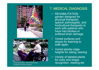 Healing Gardens in Hospitals ~ The Architecture of Hospitals | PDF
