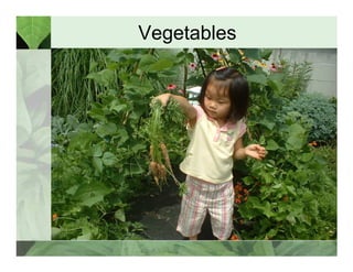 Vegetables 
 
