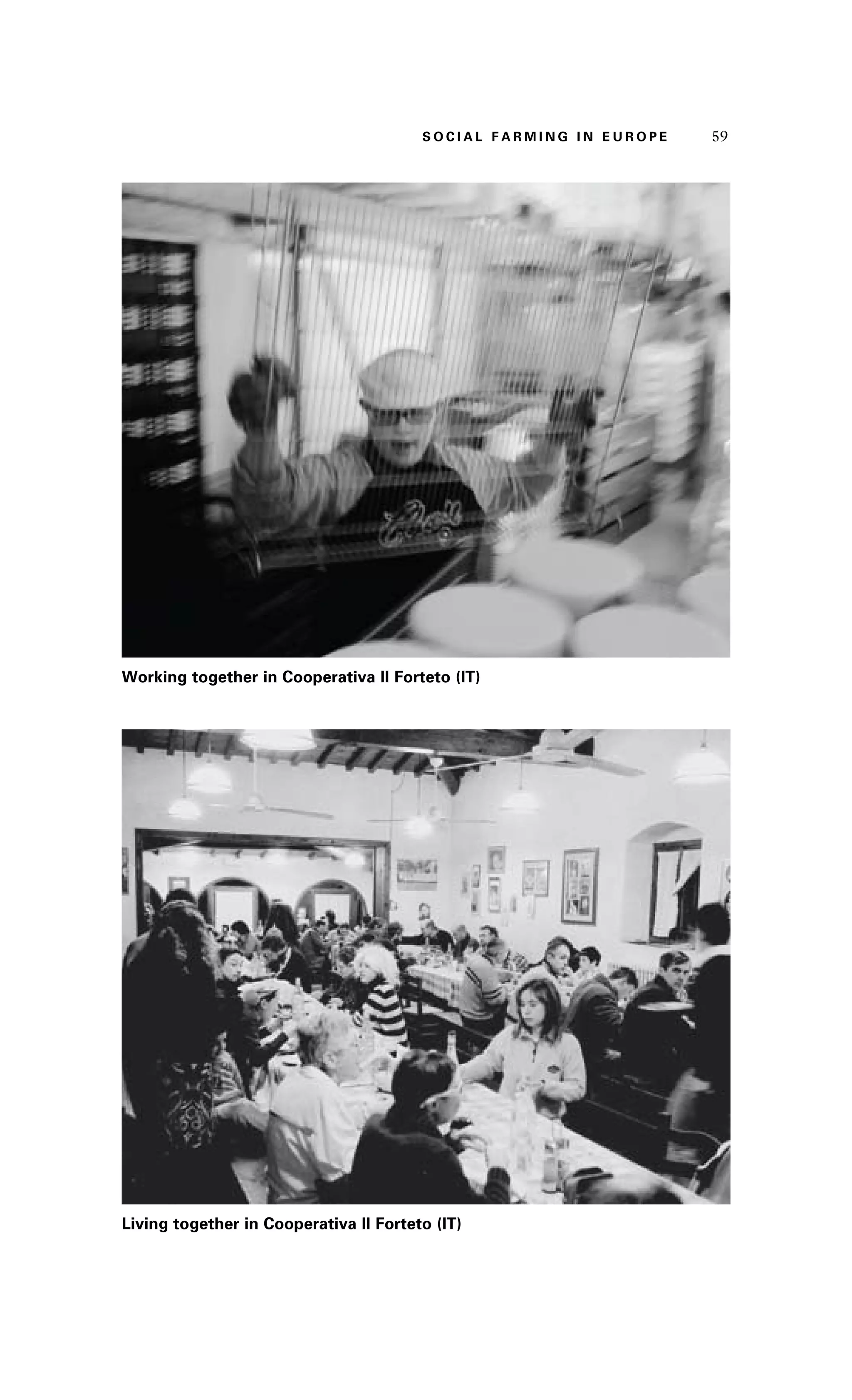 S oaci l afr mi n g i n E u r oep 59 
Working together in Cooperativa Il Forteto (IT) 
Living together in Cooperativa Il Forteto (IT) 
 