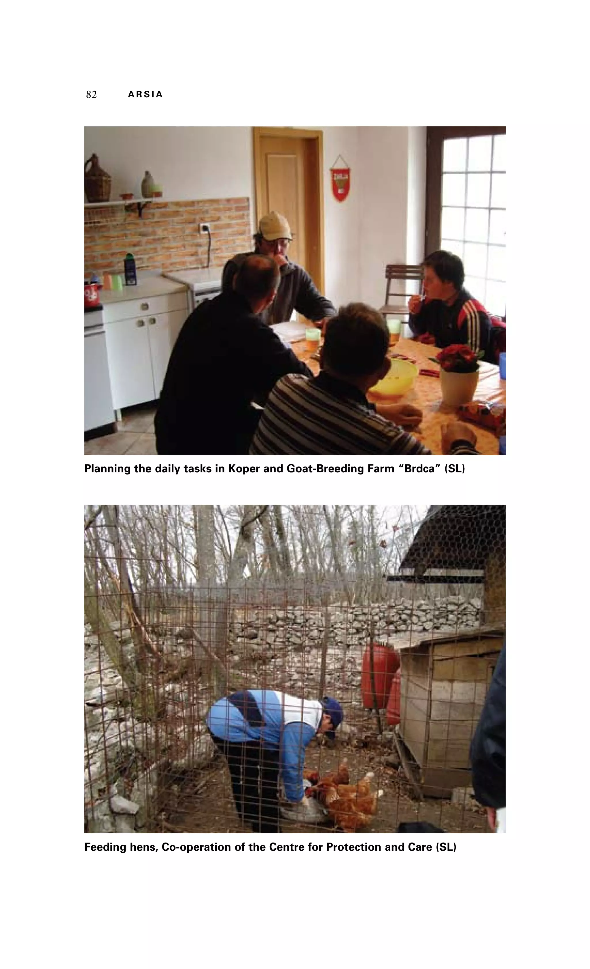 82 A R S I A 
Planning the daily tasks in Koper and Goat-Breeding Farm “Brdca” (SL) 
Feeding hens, Co-operation of the Centre for Protection and Care (SL) 
 