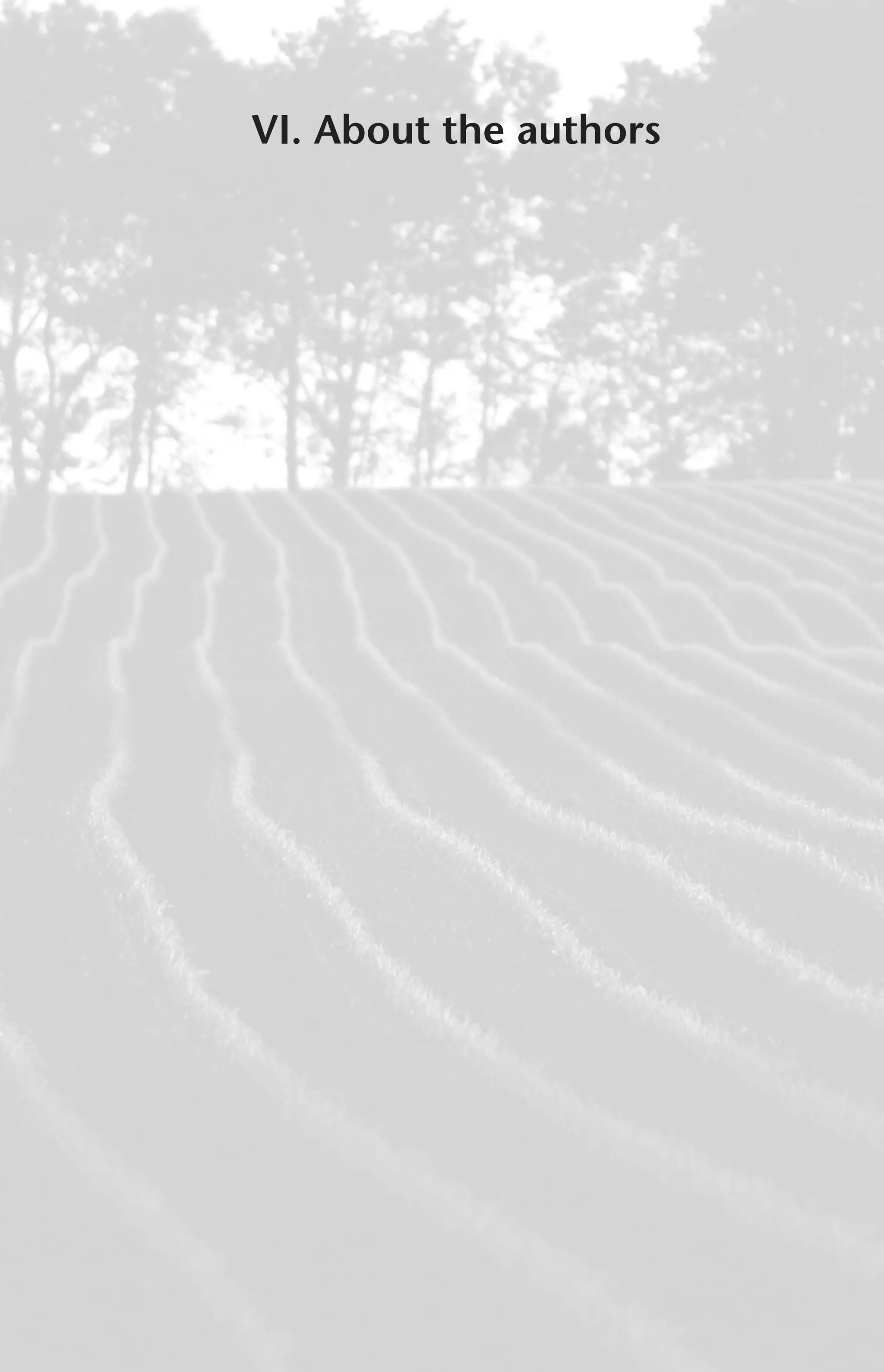 VI. About the authors 
 