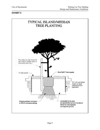Parking Lot Tree Shading Design and Maintenance Guidelines | PDF