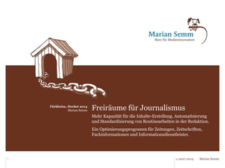 Freiräume für Journalismus 
1 © 2007-2014 Marian Semm 
 