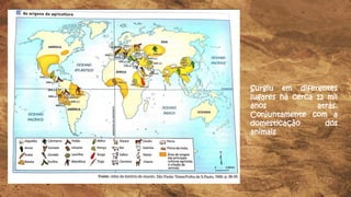 Surgiu em diferentes
lugares há cerca 12 mil
anos atrás.
Conjuntamente com a
domesticação dos
animais
 