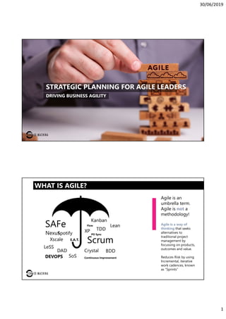 30/06/2019
1
STRATEGIC PLANNING FOR AGILE LEADERS
DRIVING BUSINESS AGILITY
Nexus
E.A.T.
DEVOPS
PO Sync
Flow
Continuous Improvement
Agile is an
umbrella term.
Agile is not a
methodology!
Agile is a way of
thinking that seeks
alternatives to
traditional project
management by
focussing on products,
outcomes and value.
Reduces Risk by using
Incremental, iterative
work cadences, known
as “Sprints”
WHAT IS AGILE?
 