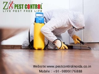 Website:www.pestcontrolnoida.co.in
Mobile : +91-9899176888
 