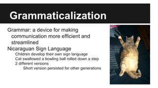 Grammaticalization
Grammar: a device for making
communication more efficient and
streamlined
Nicaraguan Sign Language
Children develop their own sign language
Cat swallowed a bowling ball rolled down a step
2 different versions
Short version persisted for other generations
 