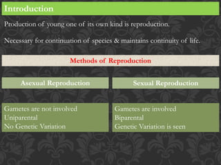Production Reproduction Chap_1_Reproduction_in_Lower_and_Higher_plants1.pptx