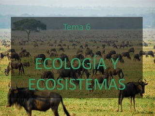 1
© J. L. Sánchez Guillén
IES Pando - Oviedo – Departamento de Biología y Geología
TEMA ECOLOGÍA
Tema 6
ECOLOGÍA Y
ECOSISTEMAS
 