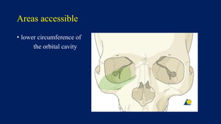 Areas accessible
• lower circumference of
the orbital cavity
 
