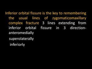 Inferior orbital fissure is the key to remembering
the usual lines of zygomaticomaxillary
complex fracture 3 lines extending from
inferior orbital fissure in 3 direction-
anteromedially
superolaterally
inferiorly
 