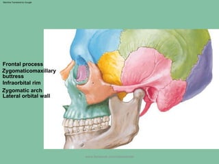 Zygomatic Rim zygomaticomaxillarycomplexfracture-150906015841-lva1-app6892 (1).pdf
