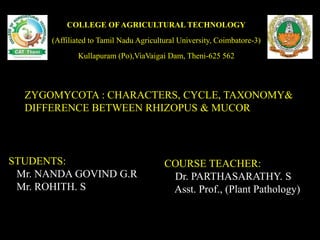 ZYGOMYCOTA : CHARACTERS, CYCLE, TAXONOMY&
DIFFERENCE BETWEEN RHIZOPUS & MUCOR
COURSE TEACHER:
Dr. PARTHASARATHY. S
Asst. Prof., (Plant Pathology)
STUDENTS:
Mr. NANDA GOVIND G.R
Mr. ROHITH. S
COLLEGE OF AGRICULTURAL TECHNOLOGY
(Affiliated to Tamil Nadu Agricultural University, Coimbatore-3)
Kullapuram (Po),ViaVaigai Dam, Theni-625 562
 