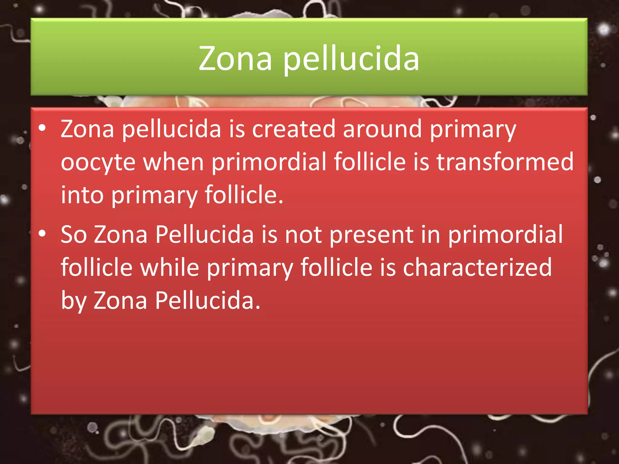 Zona pellucida
• Zona pellucida is created around primary
oocyte when primordial follicle is transformed
into primary follicle.
• So Zona Pellucida is not present in primordial
follicle while primary follicle is characterized
by Zona Pellucida.
 