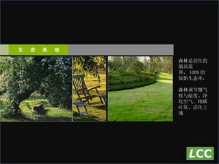 森林是居住的最高境界， 100% 的原始生态率，  森林调节微气候与湿度、净化空气、纳碳吐氧、活化土壤 