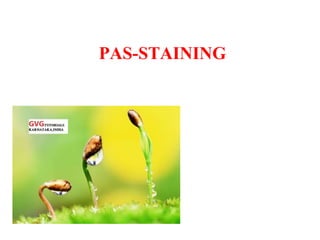 PAS-STAINING
 