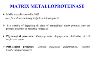 MATRIX METALLOPROTEINASE
 MMPs were discovered in 1962
-was first observed during tadpole tail development
 It is capable of degrading all kinds of extracellular matrix proteins, also can
process a number of bioactive molecules
 Physiological processes:- Embryogenesis, Angiogenesis, Activation of cell
surface receptors
 Pathological processes:- Tumour metastasis Inflammation, Arthritis,
Cardiovascular diseases
 