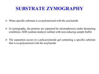 SUBSTRATE ZYMOGRAPHY
 When specific substrate is co-polymerized with the acrylamide
 In zymography, the proteins are separated by electrophoresis under denaturing
conditions- SDS (sodium dodecyl sulfate) with non-reducing sample buffer
 The separation occurs in a polyacrylamide gel containing a specific substrate
that is co-polymerized with the acrylamide
 