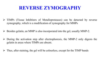 REVERSE ZYMOGRAPHY
 TIMPs (Tissue Inhibitors of Metalloproteases) can be detected by reverse
zymography, which is a modification of zymography for MMPs
 Besides gelatin, an MMP is also incorporated into the gel, usually MMP-2.
 During the activation step after electrophoresis, the MMP-2 only digests the
gelatin in areas where TIMPs are absent.
 Thus, after staining, the gel will be colourless, except for the TIMP bands
 