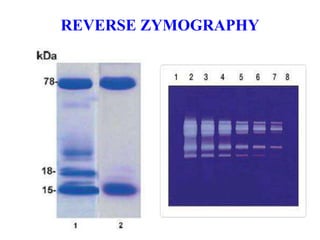 REVERSE ZYMOGRAPHY
 