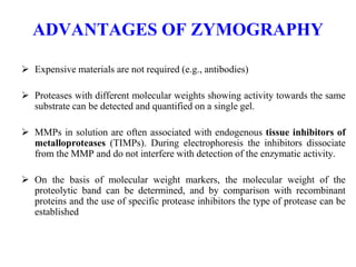 ADVANTAGES OF ZYMOGRAPHY
 Expensive materials are not required (e.g., antibodies)
 Proteases with different molecular weights showing activity towards the same
substrate can be detected and quantified on a single gel.
 MMPs in solution are often associated with endogenous tissue inhibitors of
metalloproteases (TIMPs). During electrophoresis the inhibitors dissociate
from the MMP and do not interfere with detection of the enzymatic activity.
 On the basis of molecular weight markers, the molecular weight of the
proteolytic band can be determined, and by comparison with recombinant
proteins and the use of specific protease inhibitors the type of protease can be
established
 