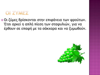  Οι

ζύμες βρίσκονται στην επιφάνεια των φρούτων.
Έτσι αρκεί η απλή πίεση των σταφυλιών, για να
έρθουν σε επαφή με τα σάκχαρα και να ζυμωθούν.

 
