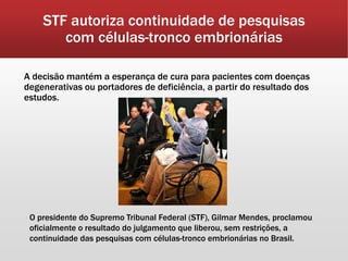 STF autoriza continuidade de pesquisas
com células-tronco embrionárias
A decisão mantém a esperança de cura para pacientes com doenças
degenerativas ou portadores de deficiência, a partir do resultado dos
estudos.
O presidente do Supremo Tribunal Federal (STF), Gilmar Mendes, proclamou
oficialmente o resultado do julgamento que liberou, sem restrições, a
continuidade das pesquisas com células-tronco embrionárias no Brasil.
 