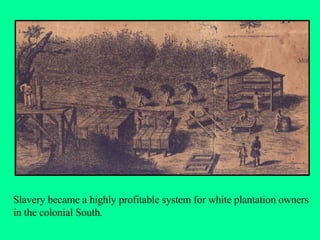 Slavery became a highly profitable system for white plantation owners in the colonial South. 